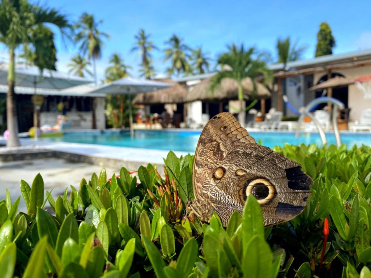 Show Pony Beach Resort And Suites Las Lajas  Luaran gambar