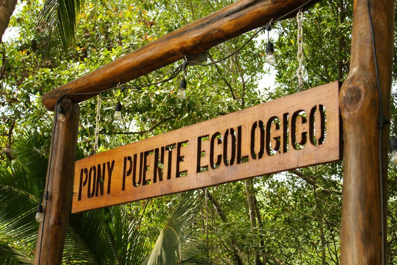 Show Pony Beach Resort And Suites Las Lajas  Luaran gambar